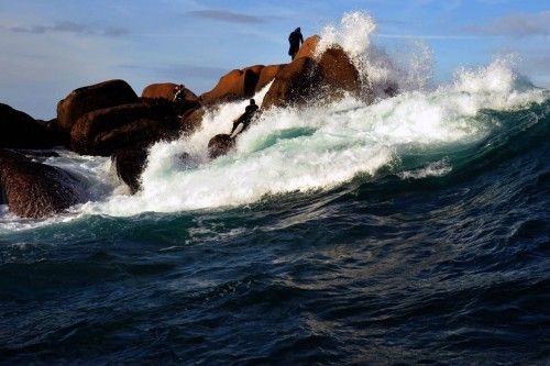 Marisco a precio de oro en las Rías Baixas