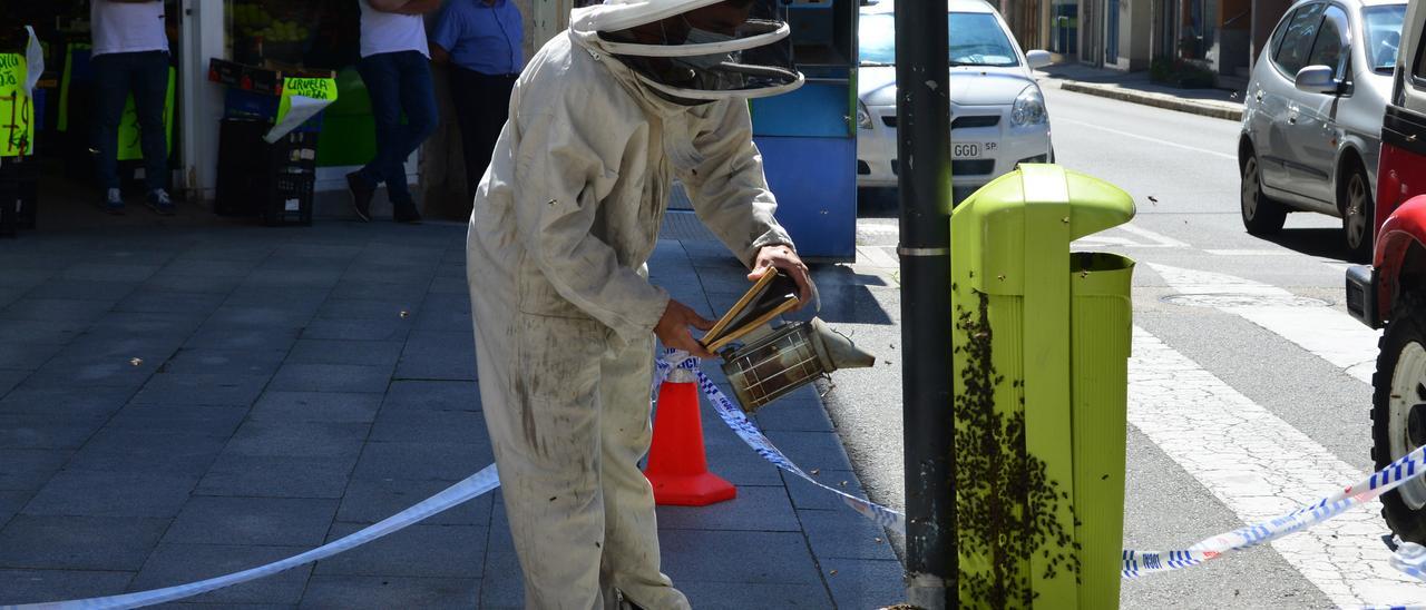 El apicultor retira las abejas, esta tarde en el centro de Bueu.