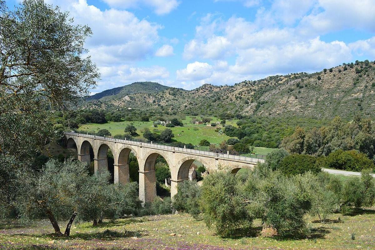 Viaducto de Zaframagón   9