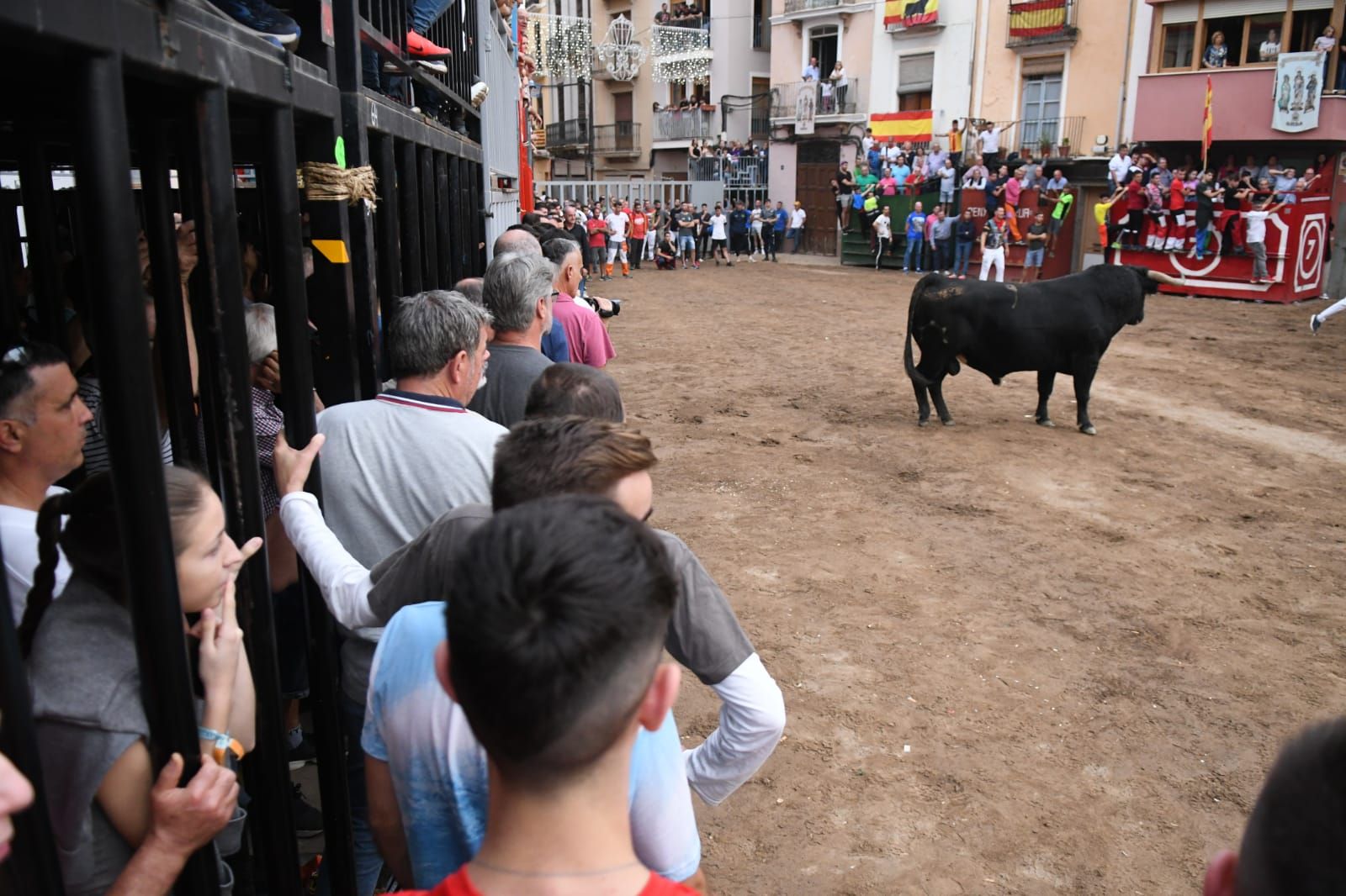 Exhibición de cuatro toros de Partida Resina en Onda