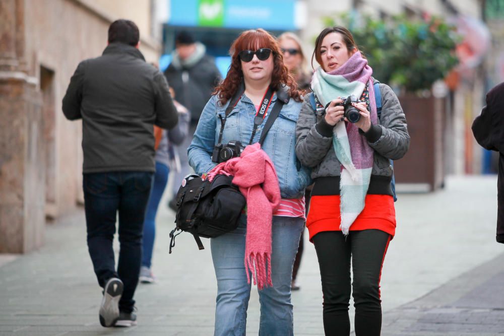 Palma Fotográfica: 400 personas buscan el lado más fotogénico de Ciutat