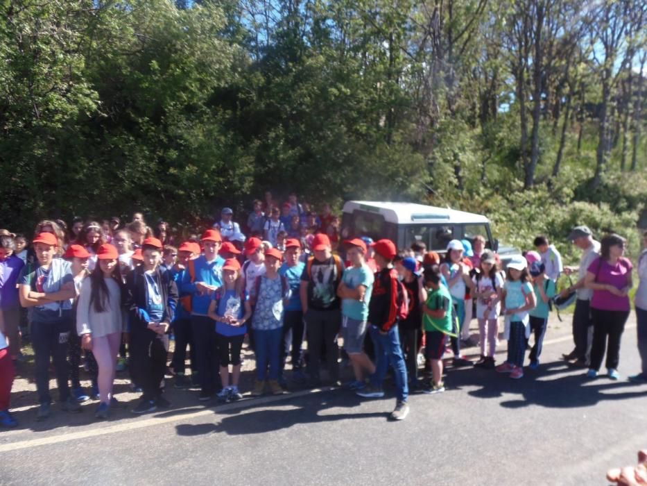 Alumnos con el Medio Ambiente en Sanabria