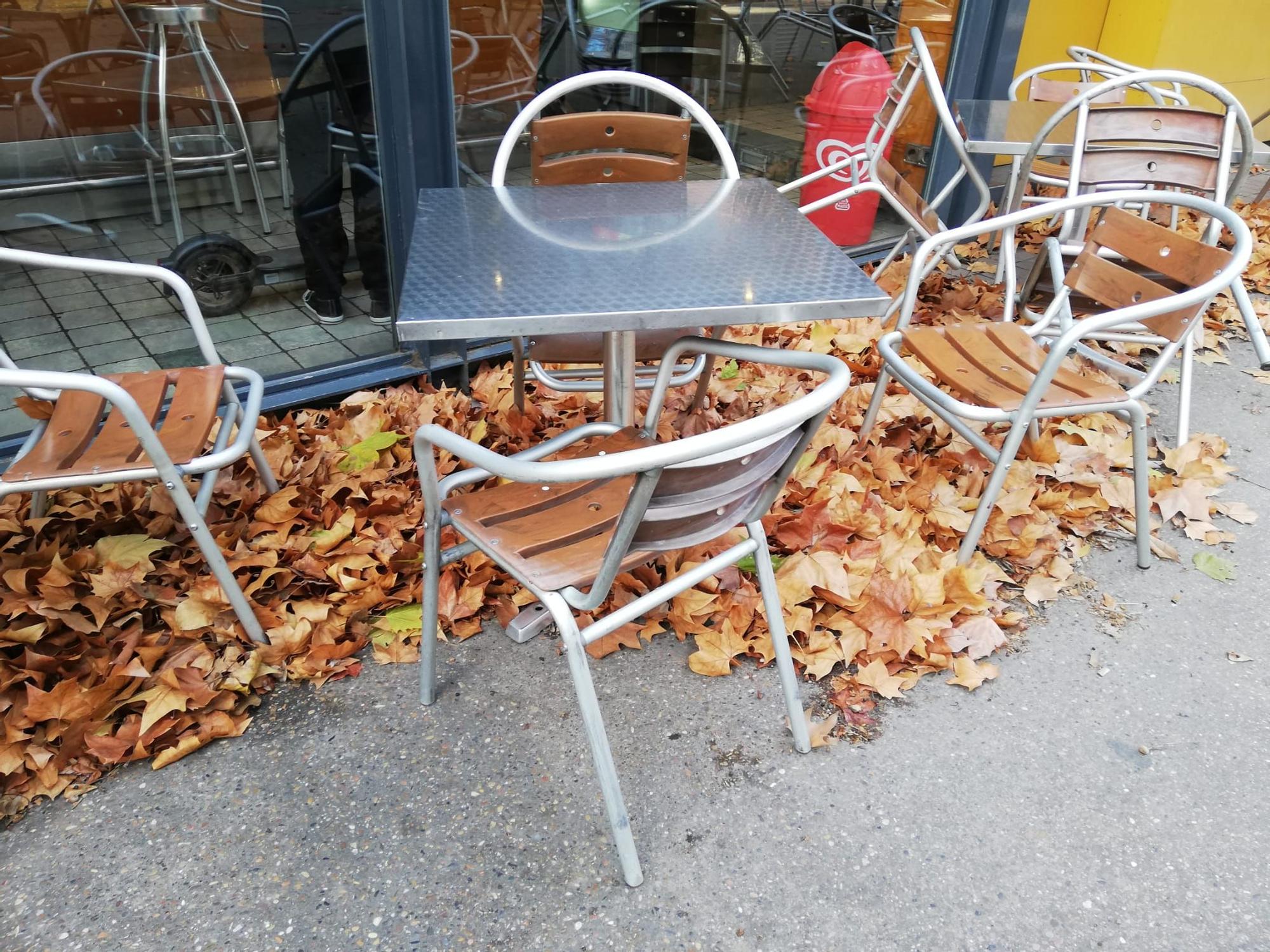 Els efectes del temporal de vent, a Manresa