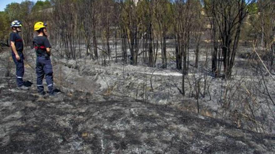 El fuego deja  20 hectáreas de monte calcinadas y un enorme susto en Alcosser