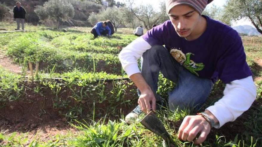 Petrer fomenta los comedores ecológicos en los colegios