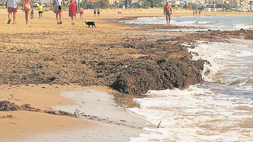 Burriana descuida el mantenimiento de las playas a pesar de su afluencia