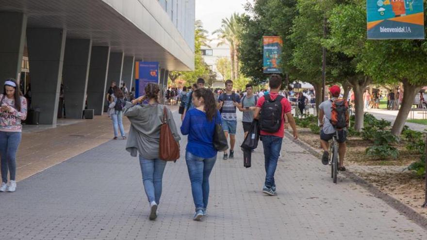 Panorámica del campus