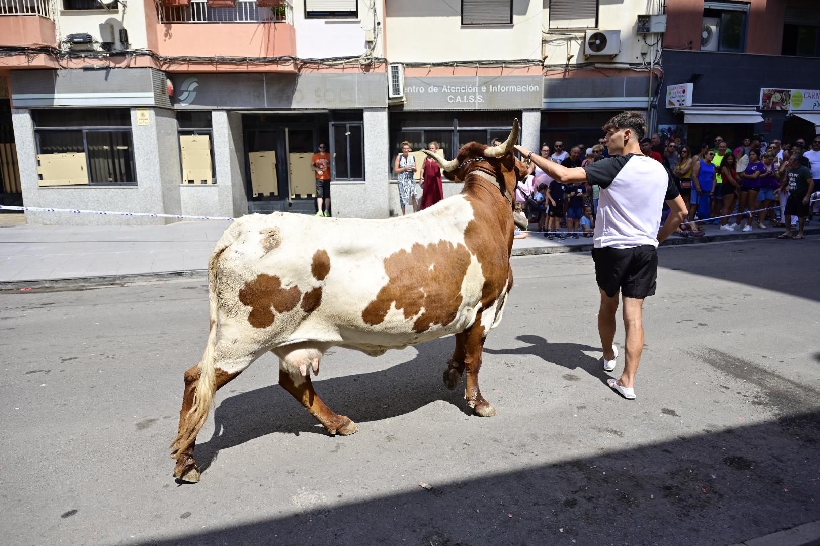 Una 'cagada' vale 1.000 euros