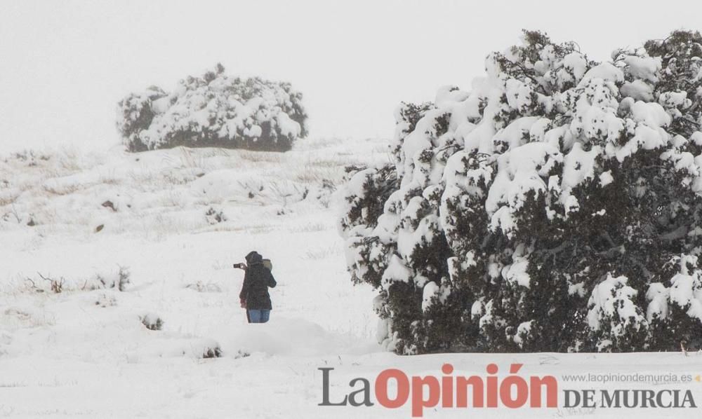 Temporal en el Noroeste (pedanías de El Moral y El