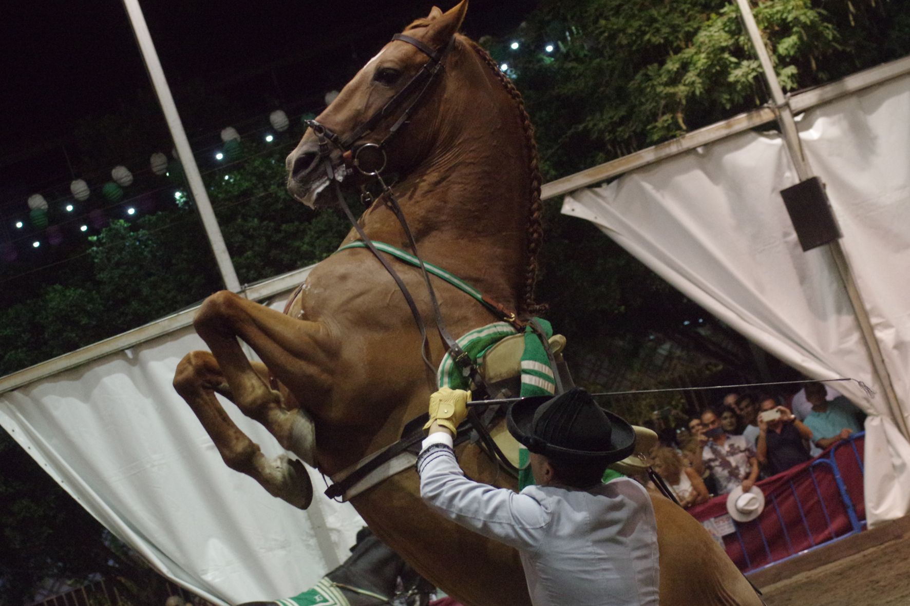 Exhibición ecuestre en el Real de la Feria de Málaga 2022