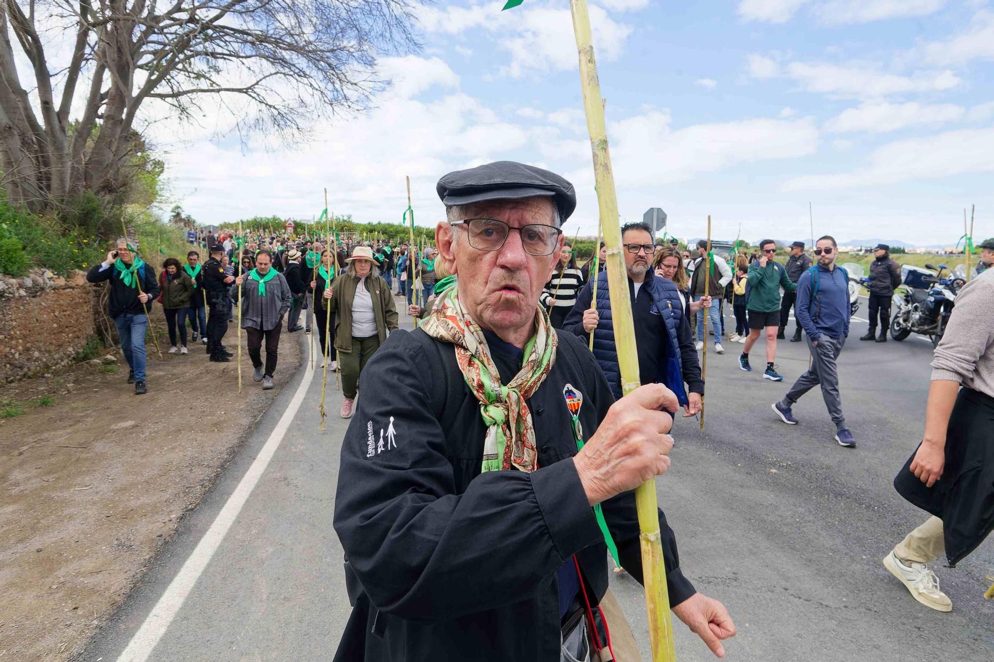 Las mejores imágenes de la Romeria a la Magdalena