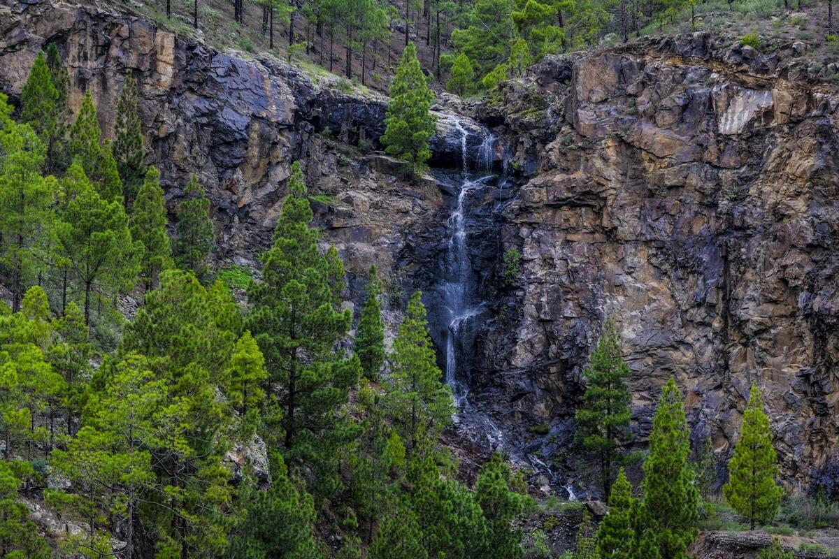 Una pequeña cascada en la zona cumbrera de Gran Canaria.