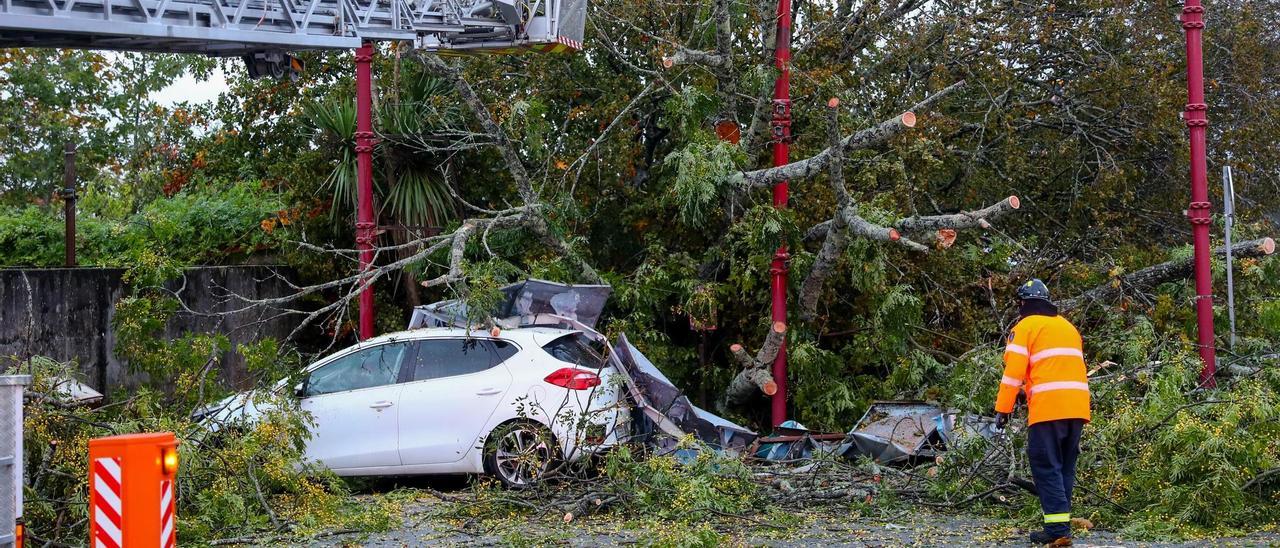 Coche sobre el que cayó un árbol y una valla publicitaria, en Rubiáns.