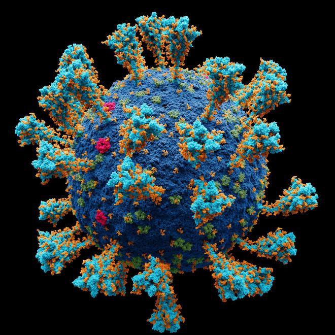 Descubren más de 130.000 virus como el que provocó la pandemia de Covid-19