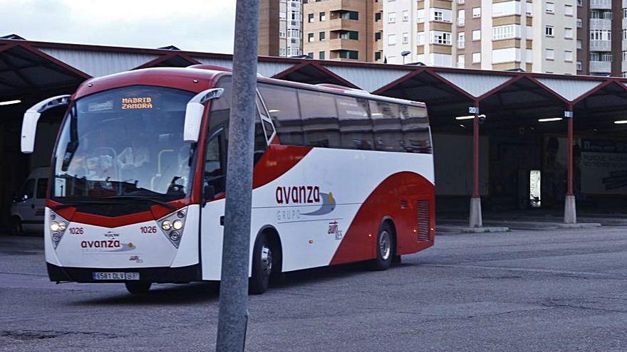Zamora recupera el autobús directo con el aeropuerto de Madrid - La Opinión  de Zamora