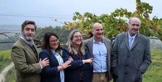 Nace en Condado el primer blanco español de Vega Sicilia