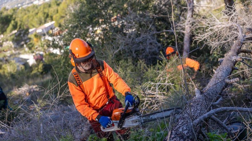 L’Alfàs del Pi refuerza la protección de Serra Gelada con la retirada de más de 400 pinos secos