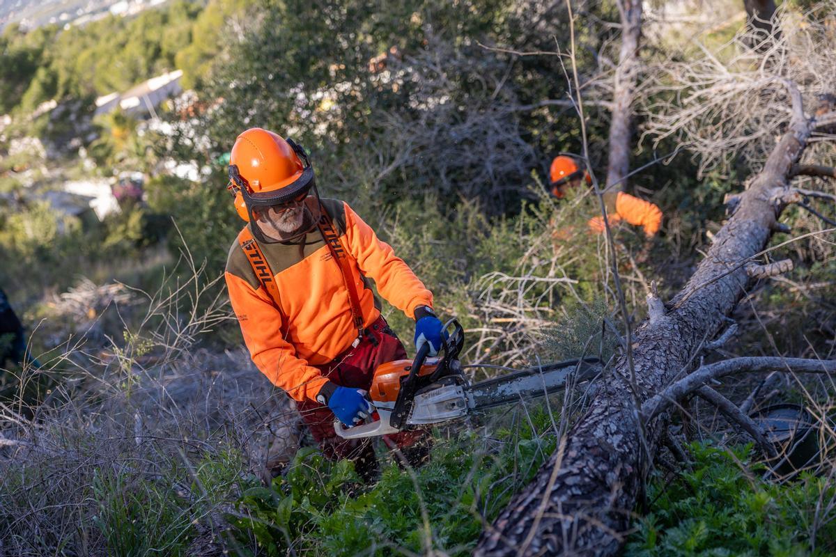 Les brigades treballen en serra Gelada per a apartar arbres morts per la sequera