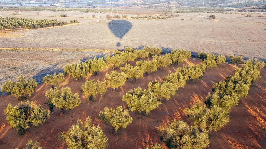 Bocairent apadrina el nuevo globo accesible de Totglobo