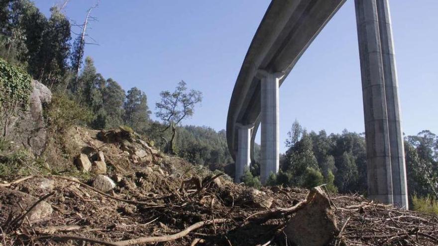 Obras de desbroce del monte, bajo el viaducto da Moura en el subtramo I, que está en ejecución. // S.A.