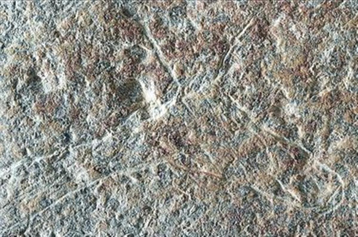 Silueta d’una cérvola gravada amb un burí sobre una pedra. Silueta d’una cérvola gravada amb un burí sobre una pedra.