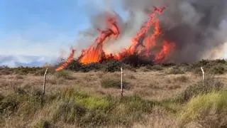 Dos incendios golpean Huelva: 130 efectivos luchan contra el fuego en Ayamonte y queda extinguido el de El Rompido