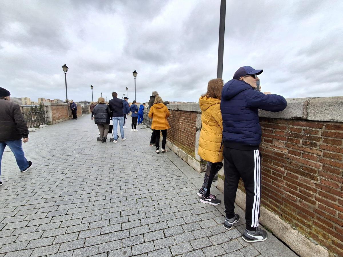 Fotogalería | El buen tiempo devuelve a los pacenses al río