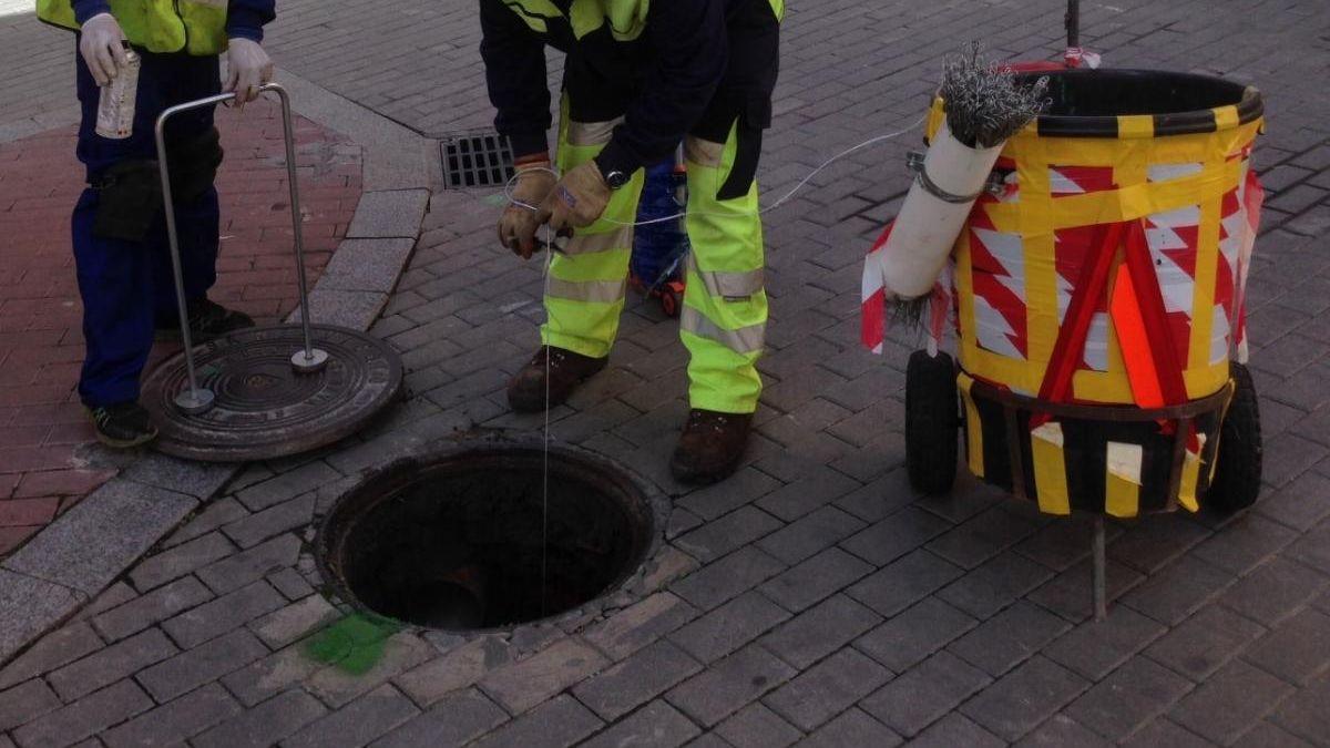 Una campaña de desratización en Zamora.