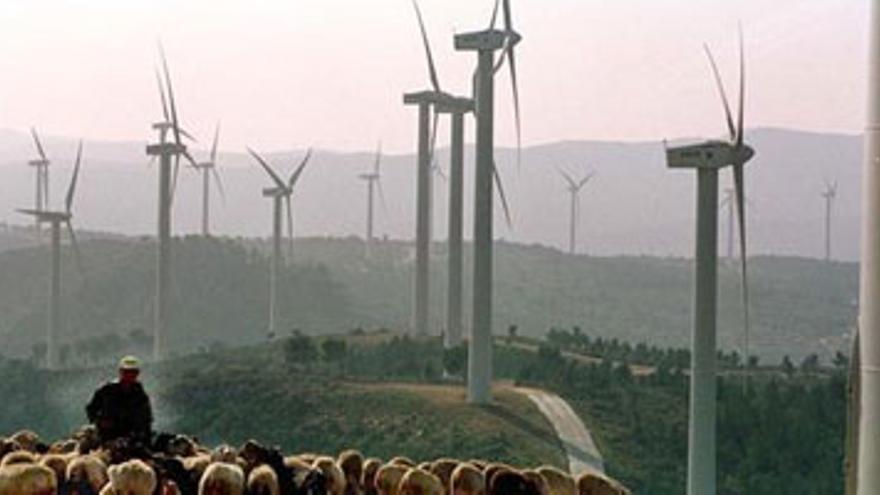 La Junta autoriza 22 parques eólicos que generarán energía en el año 2011