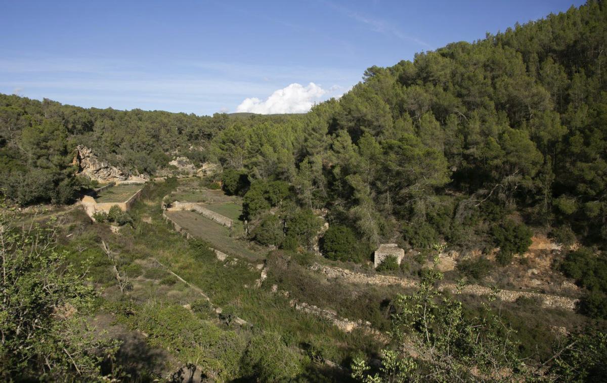 La isla ofrece un sinfín de paisajes para descubrir haciendo senderismo. | ISTOCK