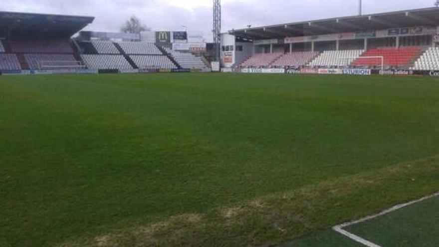 Imagen del césped del Ángel Carro, ya sin nieve, ayer, al mediodía.