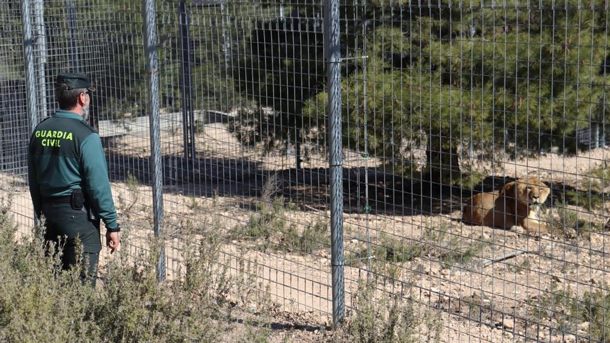 El centro Primadomus de Villena acoge el acto conmemorativo del Día Mundial de la Vida Silvestre