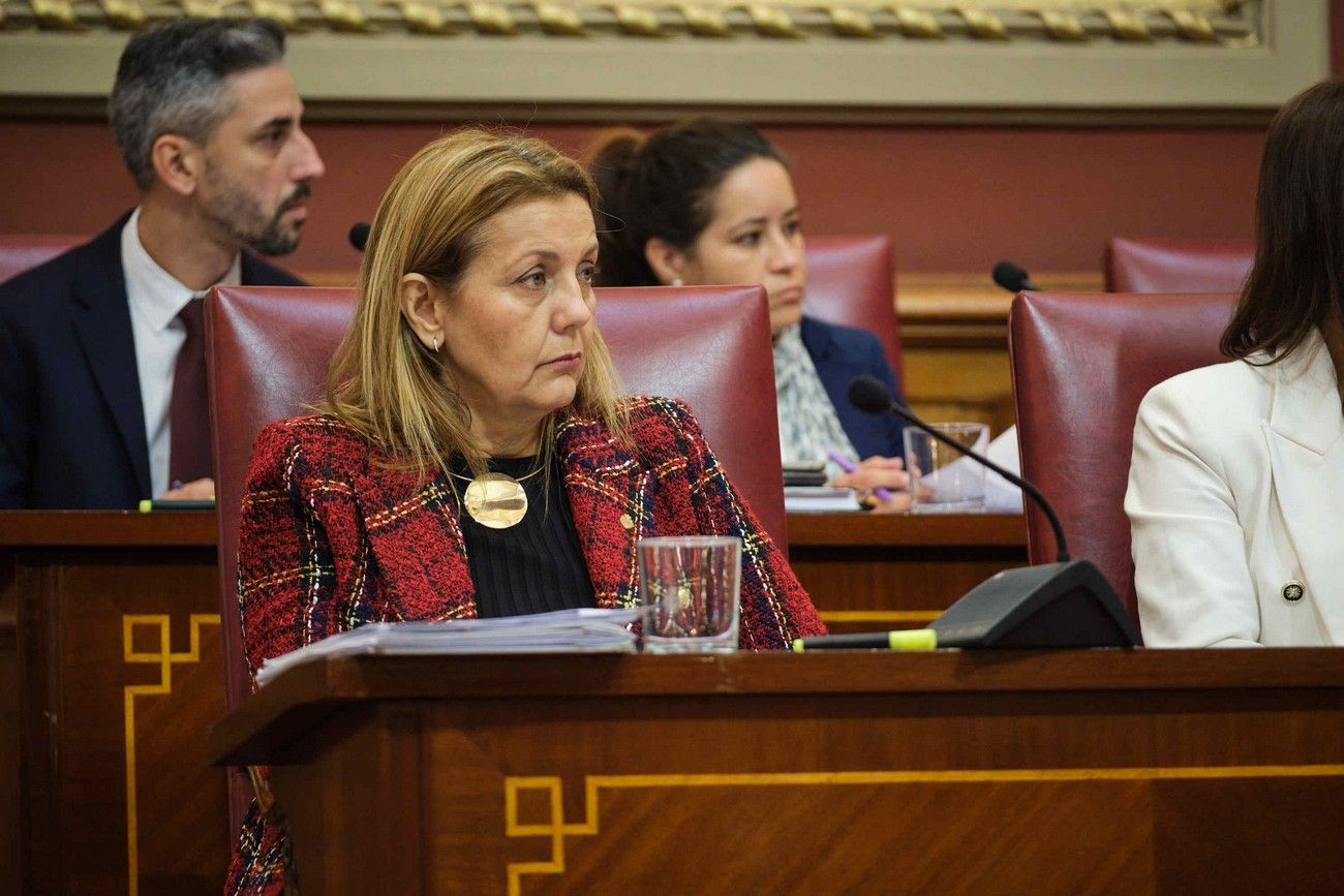 Pleno del Ayuntamiento de Santa Cruz de Tenerife (26 de enero de 2024)