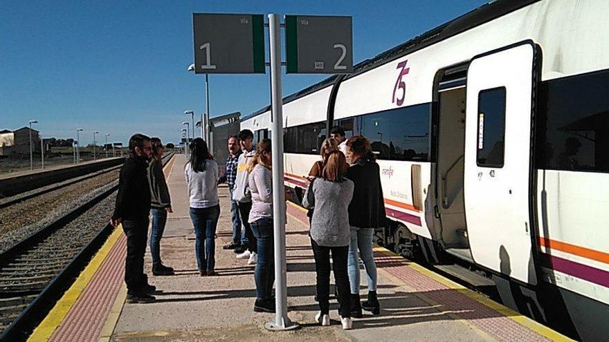 El Talgo Badajoz-Madrid arrolla a un rebaño de ovejas cerca de Navalmoral