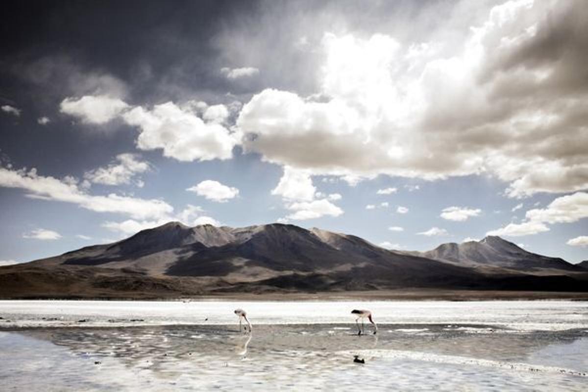 El Salar se encuentra sobre la Cordillera de los Andes y allí reina el silencio