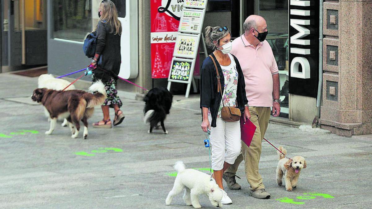 Amados animales. Un estudio publicado en la revista Journal of Comparative Psychology concluye que los perros sienten afecto real hacia los humanos y que este amor es tan grande que es mayor del que son capaces de sentir hacia otros perros. No sabemos si es verdad o es un estudio pagado por alguna asociación de animalistas en lucha, pero sí sabemos que hay humanos que los maltratan y otros muchos los tratan con más amor que a sus mismos congéneres. Aquí veis por Príncipe, en foto de Ricardo Grobas, a nuestros amados animales.