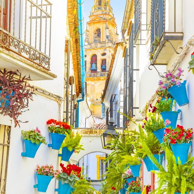 Calle con vistas a la mezquita de Córdoba adornada con flores