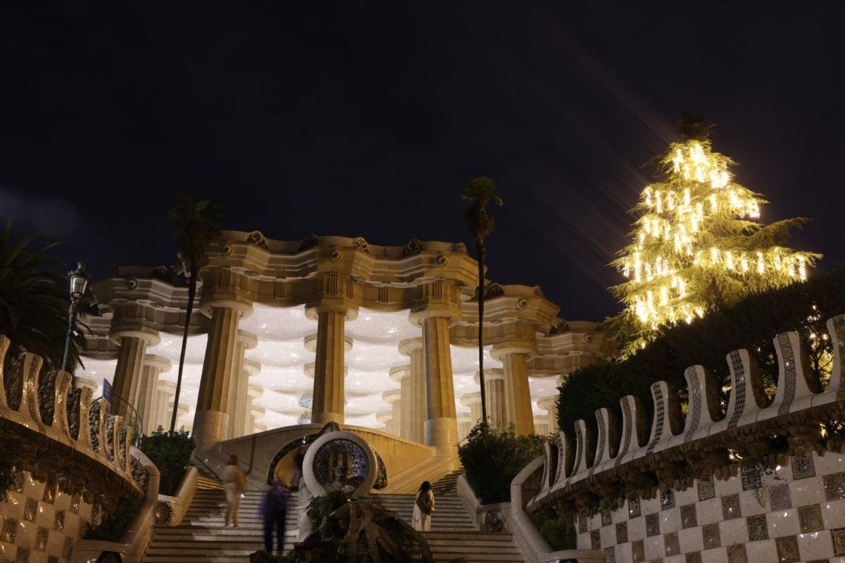Cedro de los jardines a Áustria del Park Güell, iluminado por primera vez esta Navidad