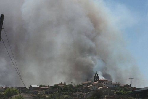 Un incendio arrasa parte de los Arribes en Villalcampo