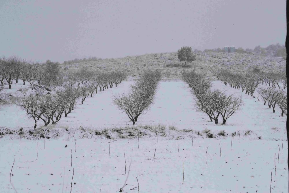 Nieve en Coy, Lorca