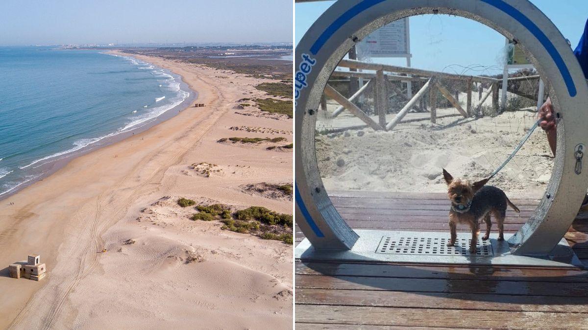 La playa canina de Camposoto, la primera para animales que se creó en la provincia de Cádiz