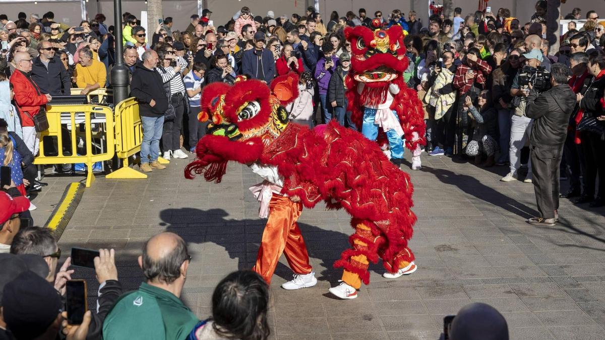 Así ha sido la celebración del Año Nuevo Chino en Palma