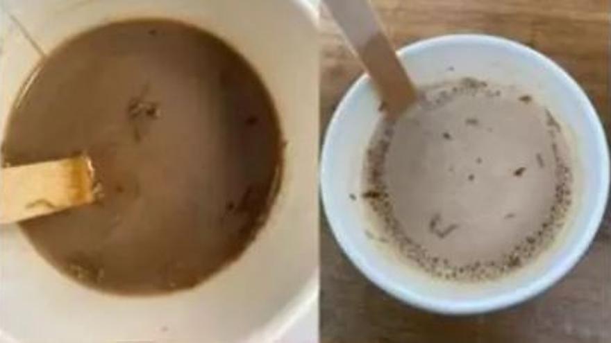 Erneut Insekten im Automatenkaffee auf dem Flughafen Mallorca gefunden