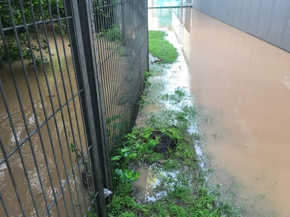 Inundaciones en Gijón