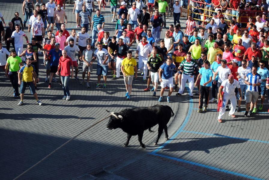 Toro Enmaromado Benavente: "Tapador" se rinde al c