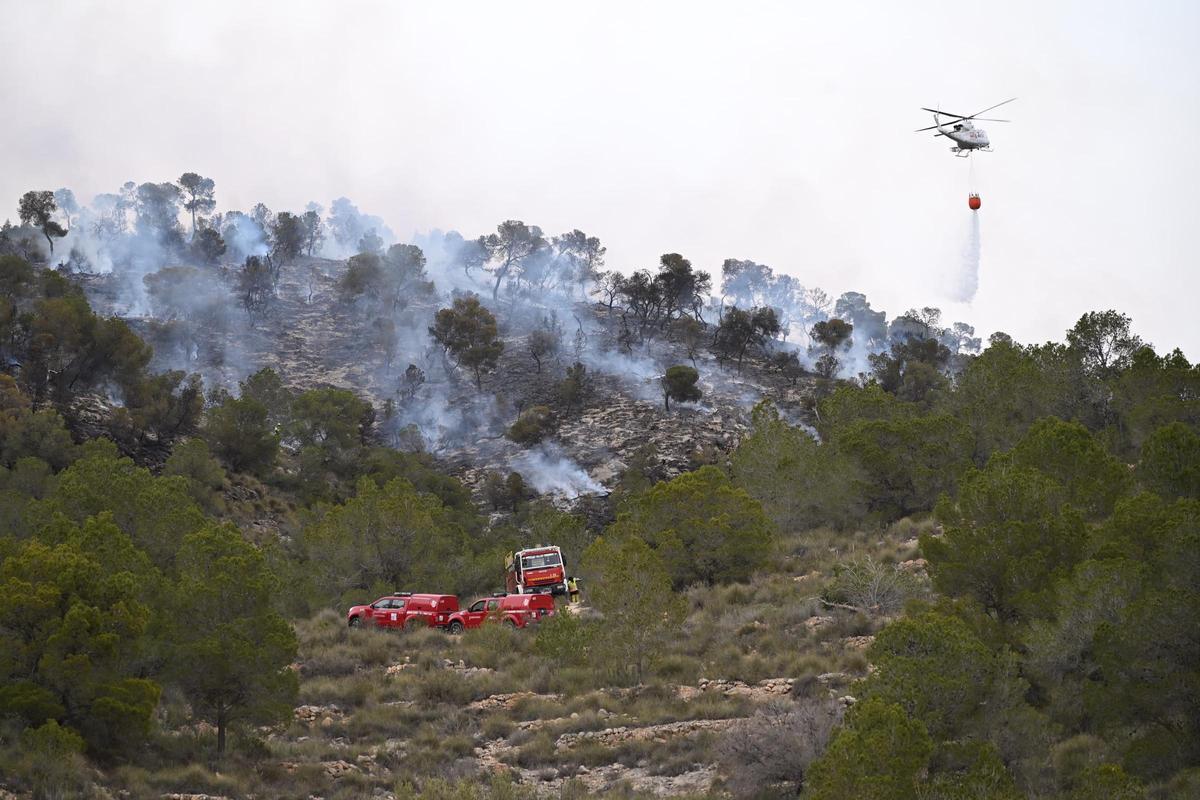 Fuego en Algueña: así está siendo el operativo para la extinción