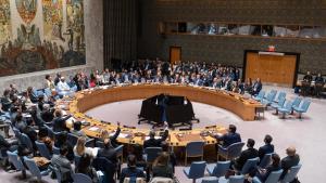 "L' ONU s'ha convertit en una organització d’efectivitat zero"