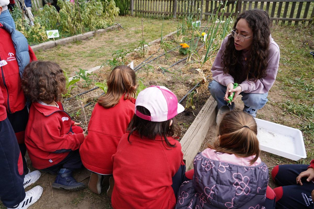 Proyecto educativo en el huerto del Campus Viriato Proyecto educativo en el huerto del Campus Viriato