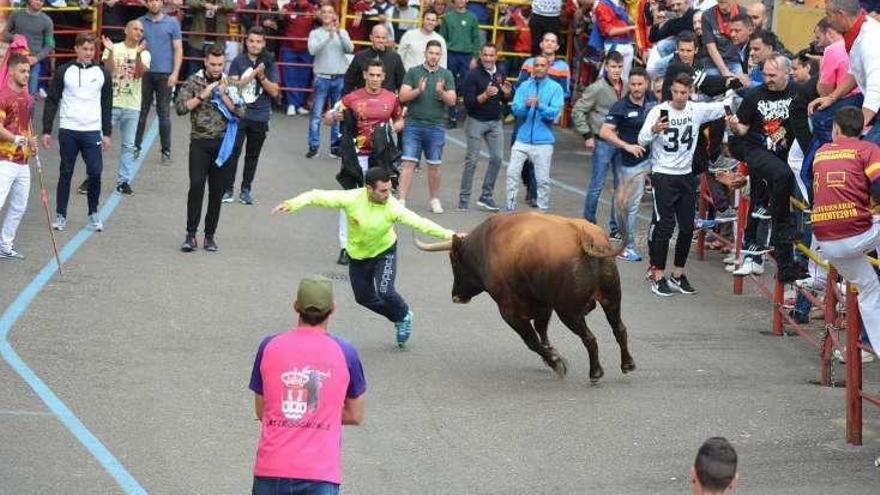 Un corte a Becerril a la altura del toril, que valió un galardón.