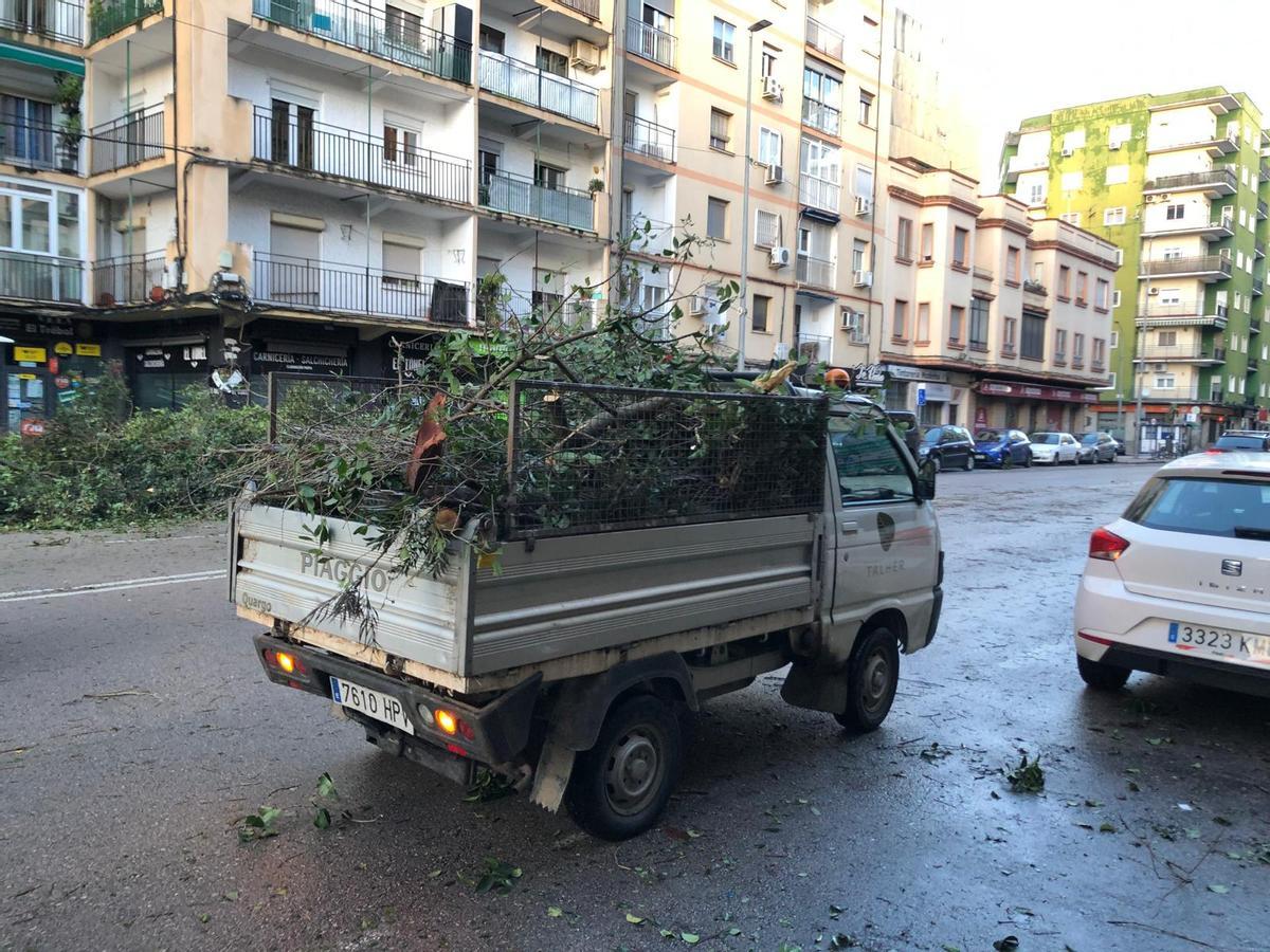 Un muro se desploma en el Instituto El Brocense